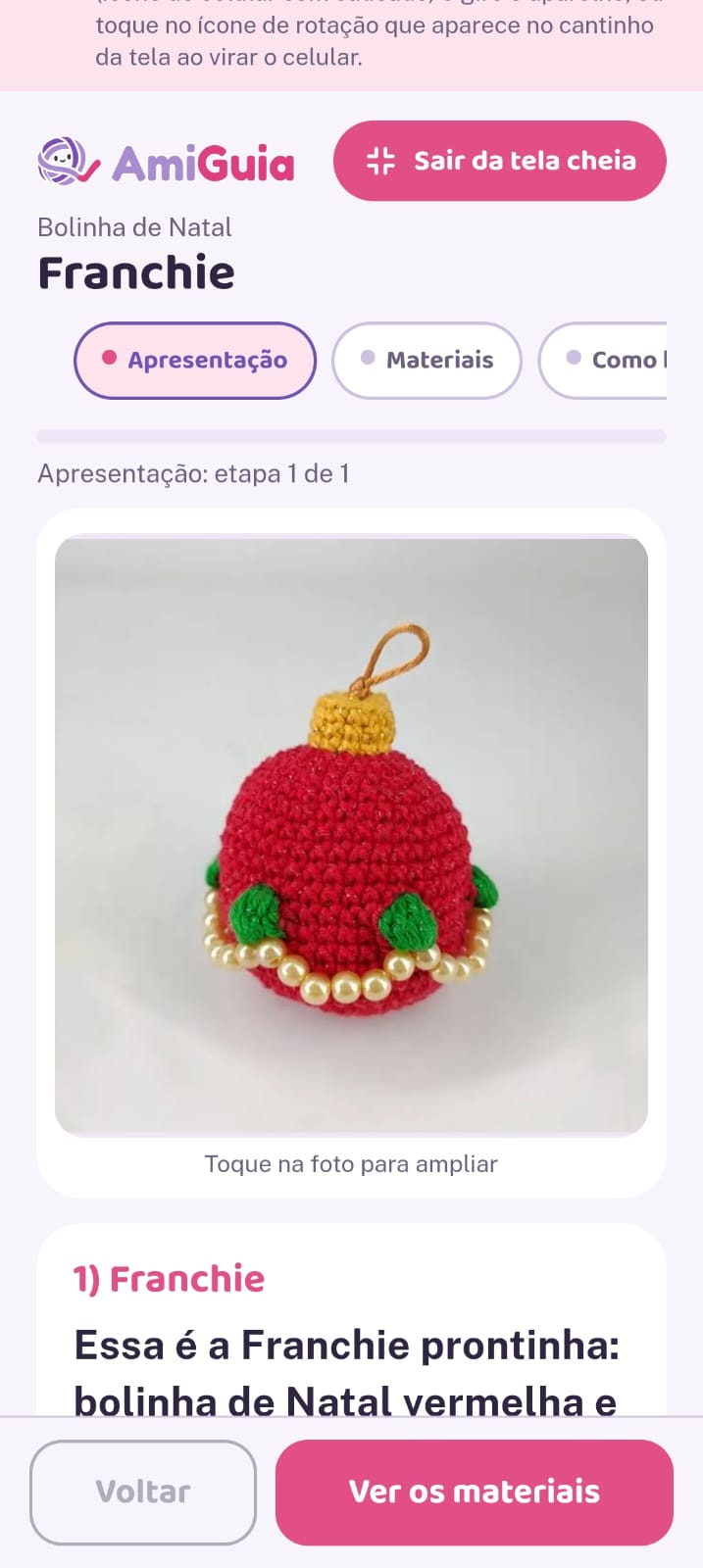 Tela de apresentação do AmiGuia no celular, com a foto da Franchie pronta